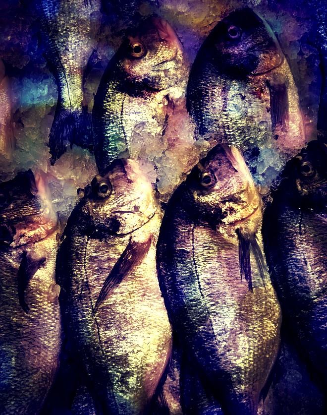 Sanzelo's profile banner image