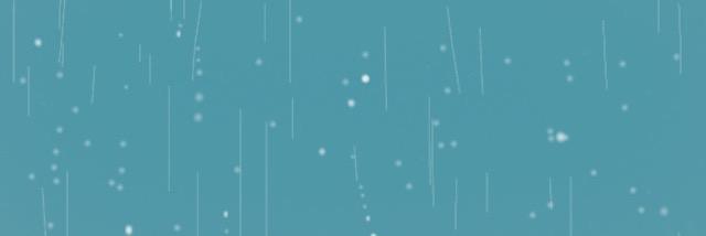 florchuva27's profile banner image