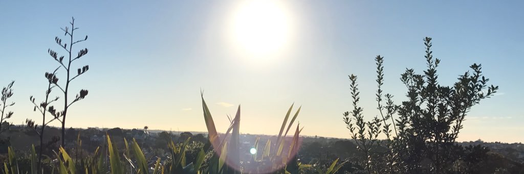 isobechiho's profile banner image