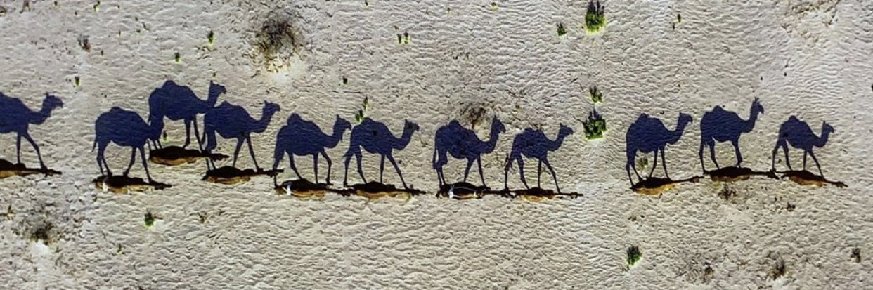 al_hader's profile banner image