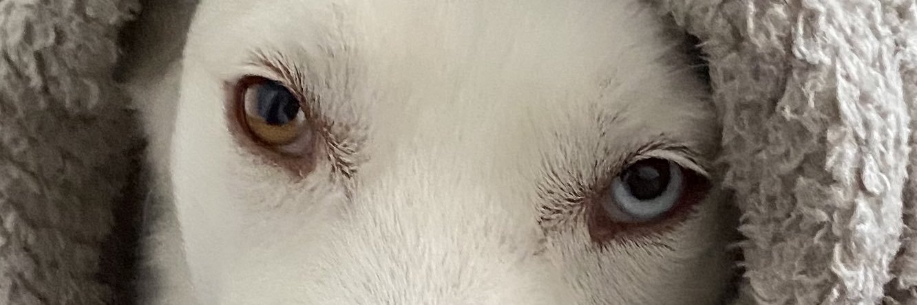 mamita feroz 🌹 banner