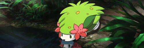 Shayminty's profile banner image