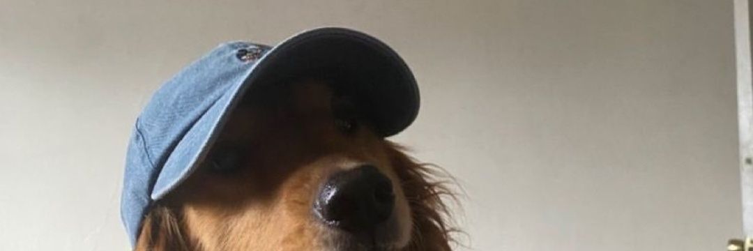 ColdSuji's profile banner image