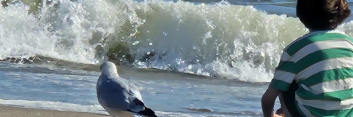 dbryan1062's profile banner image