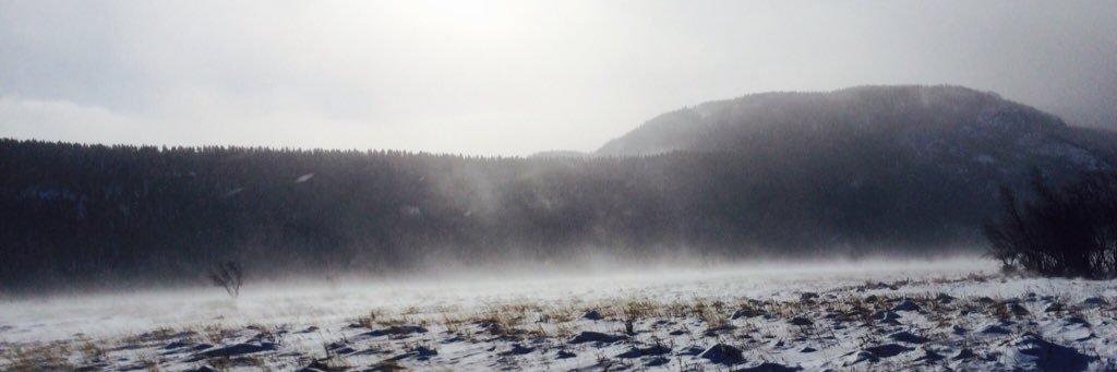leviwilliams87's profile banner image