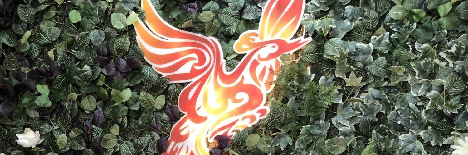 TurnBeautiful's profile banner image