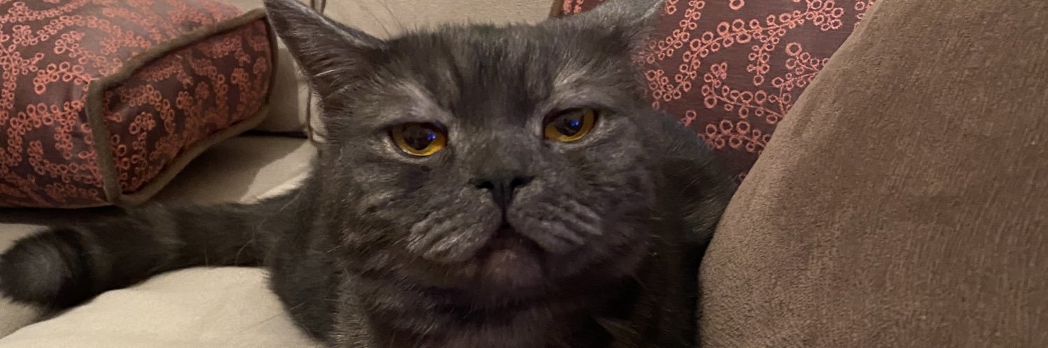 busraanbarr's profile banner image