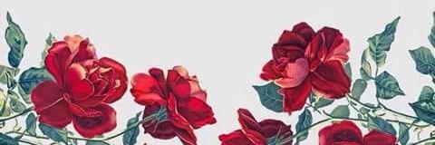 aley_minaj's profile banner image