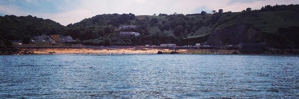 Daniel Tardivel banner