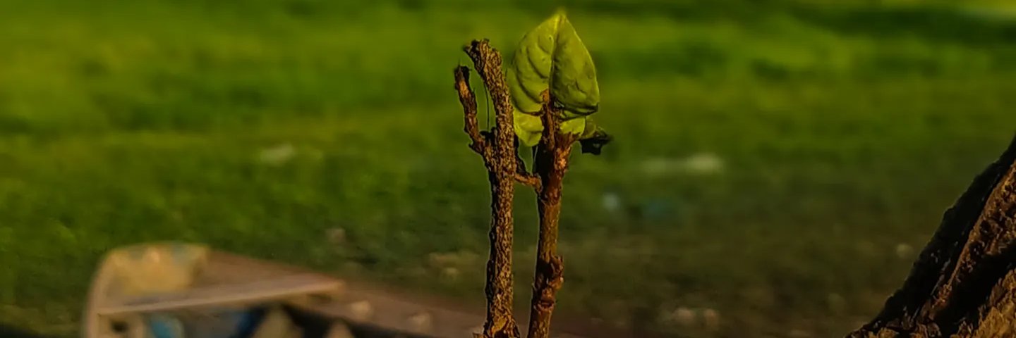eufloorzinha's profile banner image