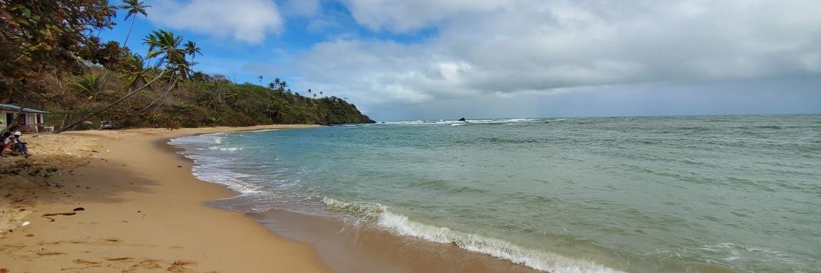 David Malebranche, MD, MPH banner