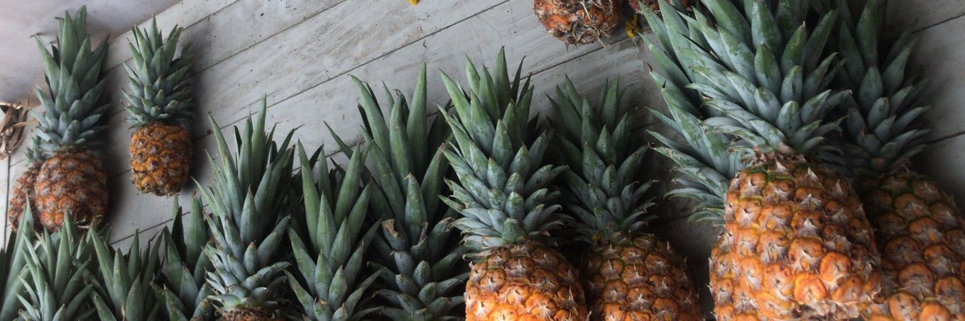 Schmosby 🏴🏴🏴 banner