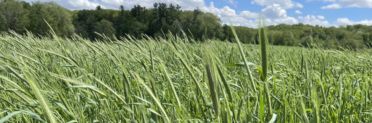 KolbyCoverCrops's profile banner image