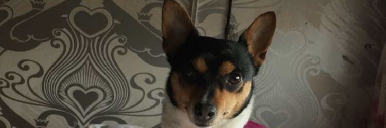 Niaparry_x's profile banner image