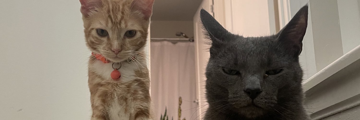 maspn_'s profile banner image