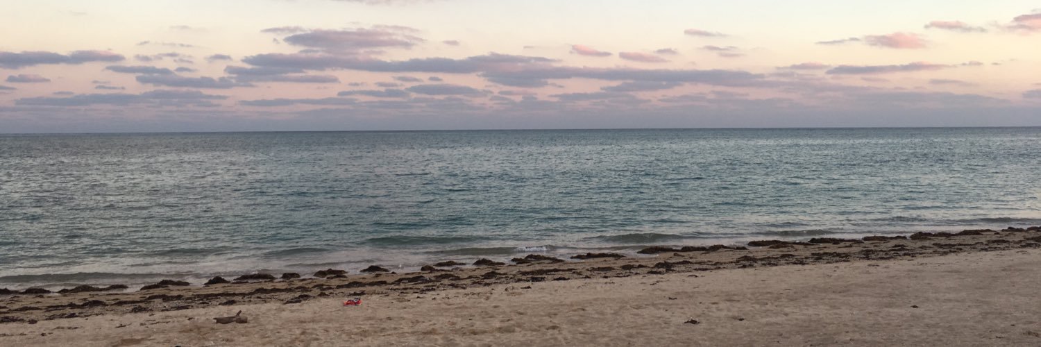 whitesoilsilver's profile banner image
