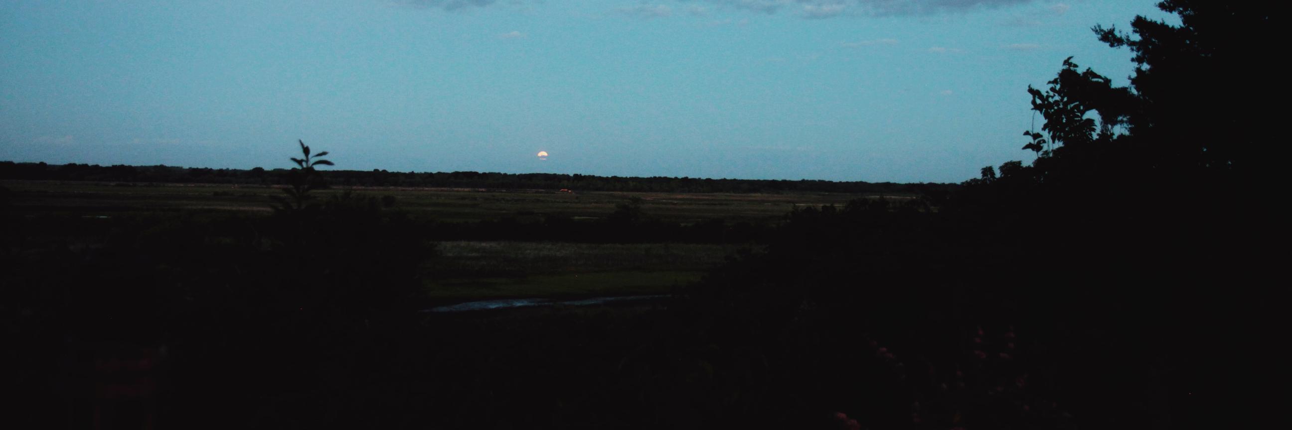 pazldg's profile banner image