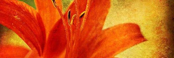 LifeMizpah's profile banner image
