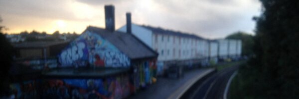 DubScout Profile Banner