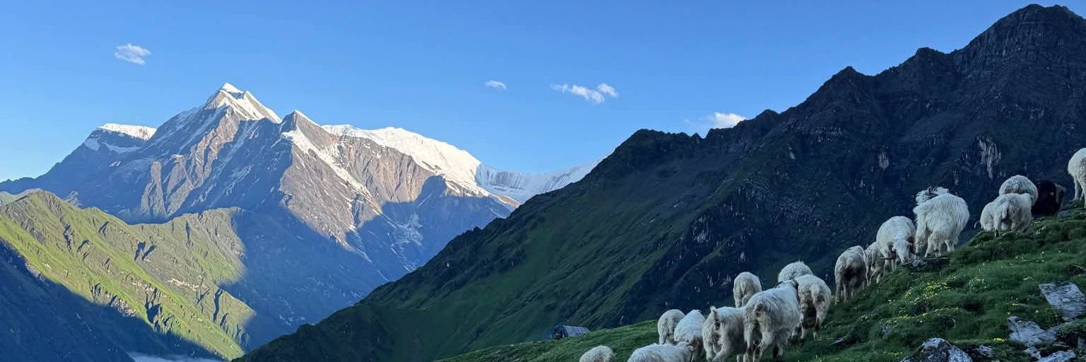 लेकाली-Thesolobagpacker👣's banner