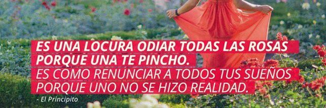 flaquita encantadora 🦋❤🌳 banner