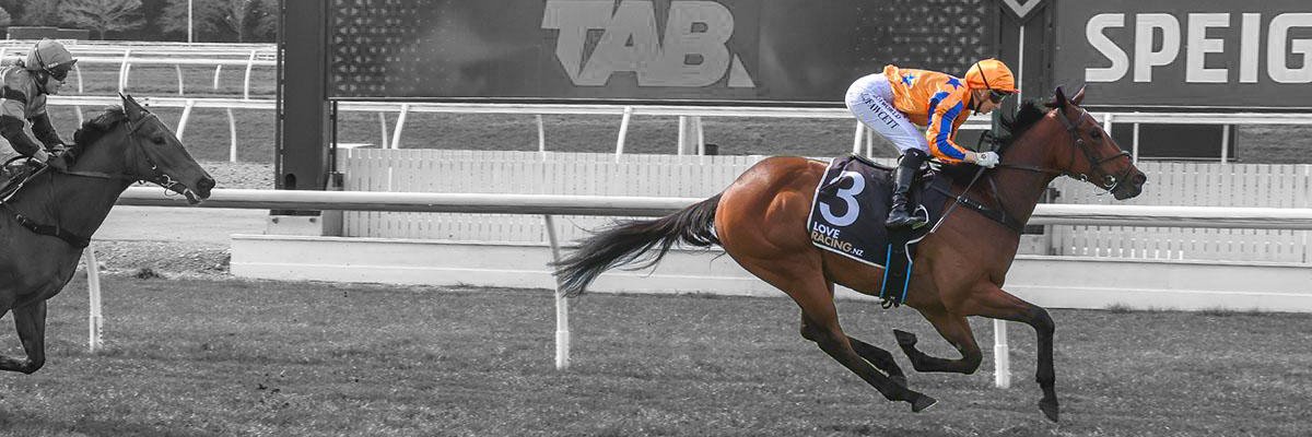 Ethan | NZ Racing banner