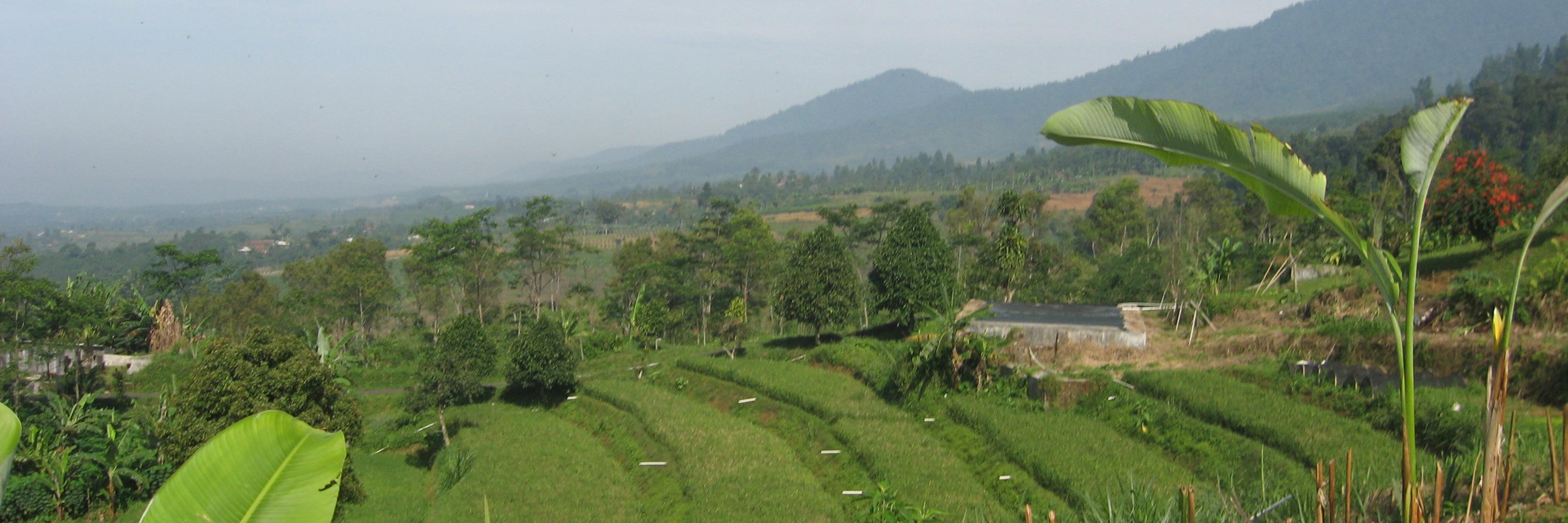pendakiserang's profile banner image