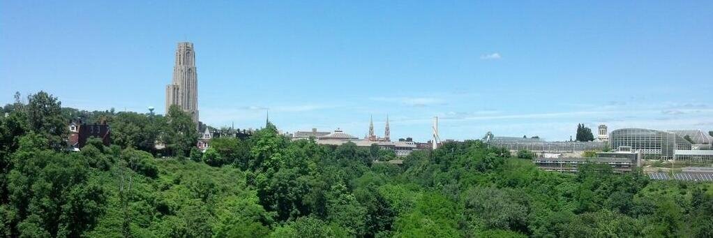 Jason Colditz banner