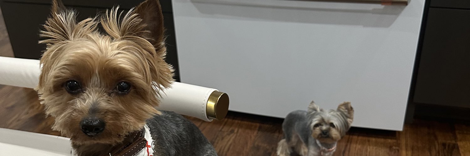 noaveragej0's profile banner image