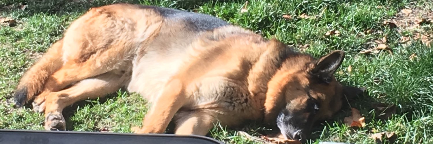 Cornboystalkin's profile banner image