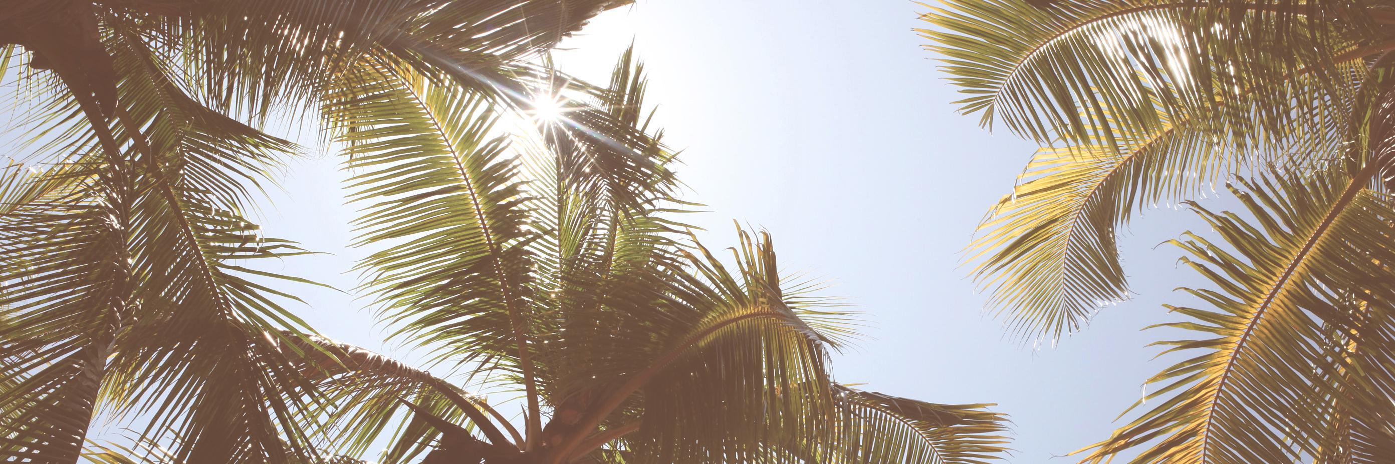 JustineBethKay's profile banner image