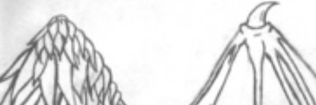 Architect696's profile banner image