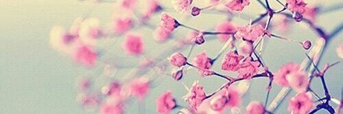 isisisabel1's profile banner image