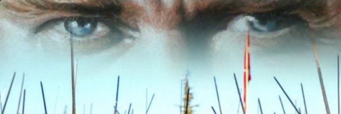 ZeyniVarol's profile banner image