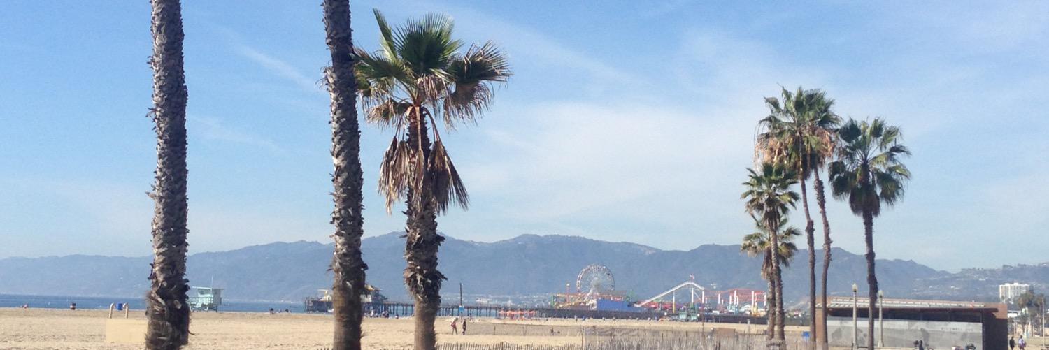 Toby Fleischman banner