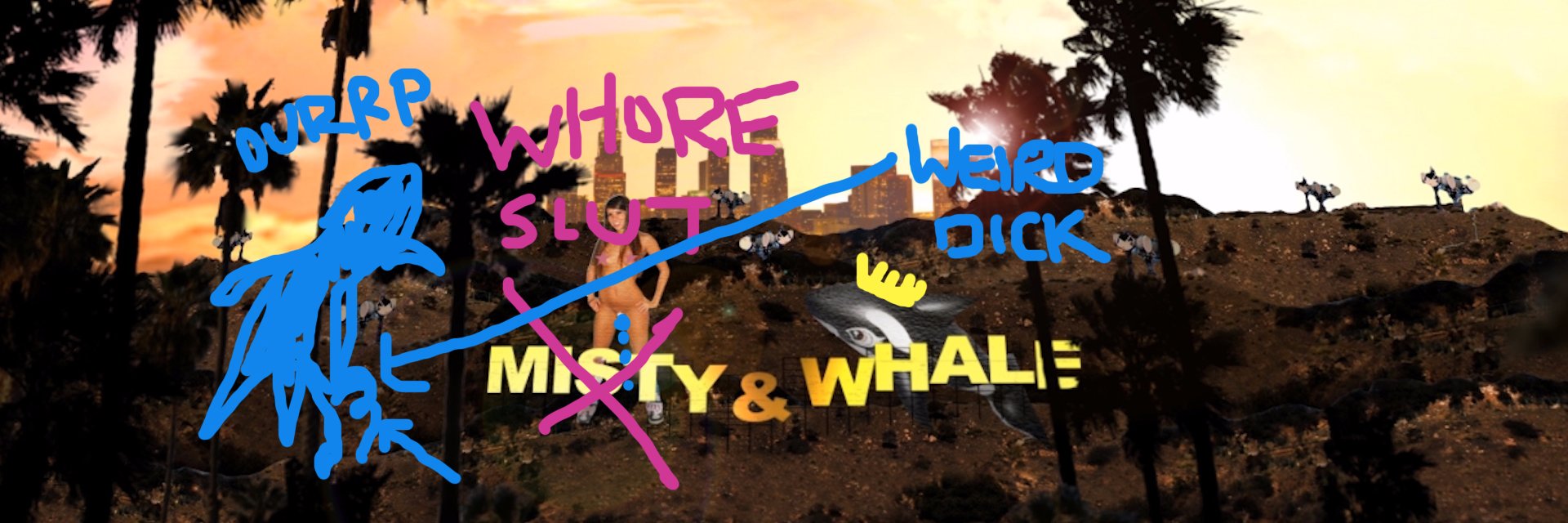 WhaleForHire's profile banner image