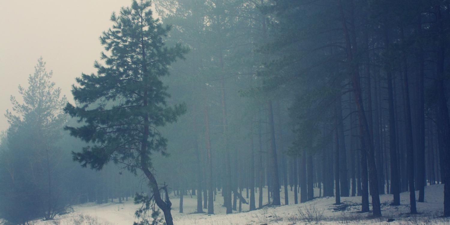 BoyceAshley's profile banner image