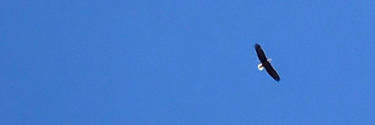 blakeberryMD's profile banner image