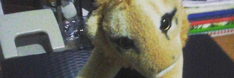 OthmaneAkdime's profile banner image