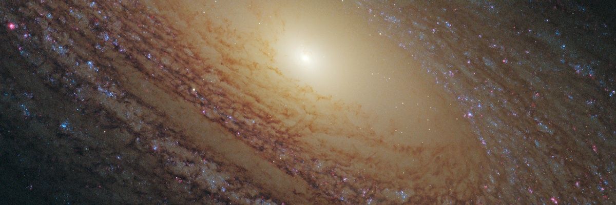 _fridajm's profile banner image
