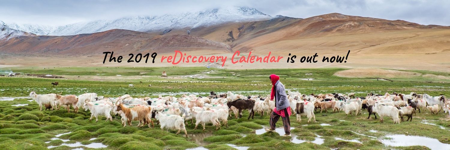 reDiscoveryProj's profile banner image