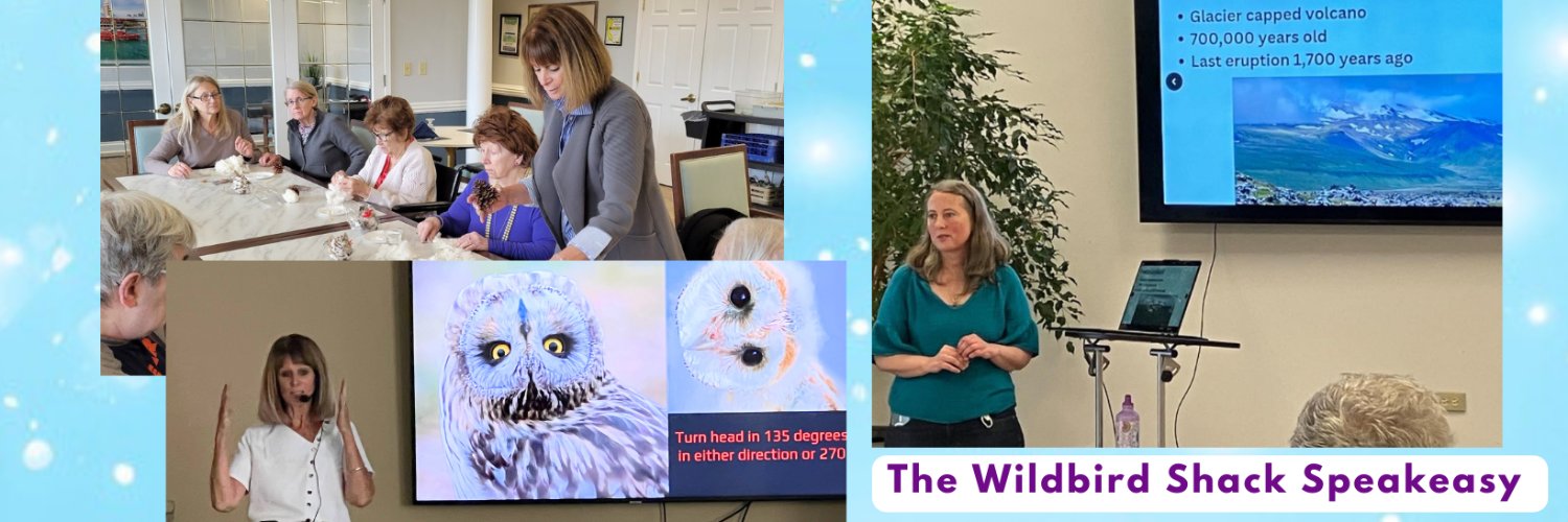 wildbirdshack's profile banner image