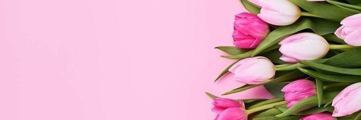 kaygamby's profile banner image