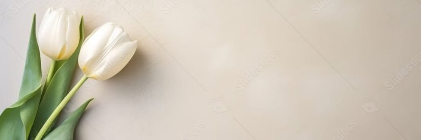 seydadz's profile banner image