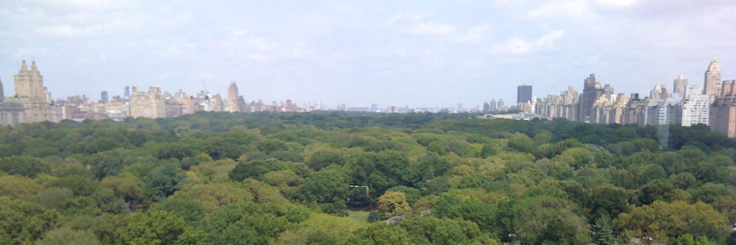 AmericanFreedo5's profile banner image