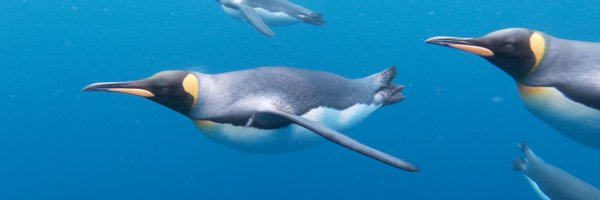 DanBrownNature Profile Banner