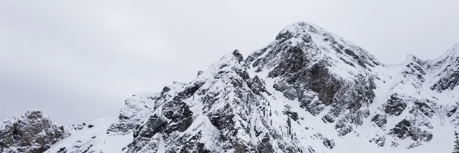 Alex Bouchard's banner