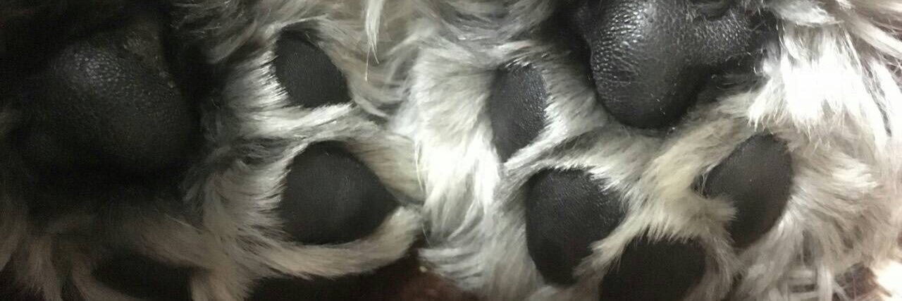 chiharun_46's profile banner image