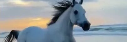 34Omarsaber's profile banner image