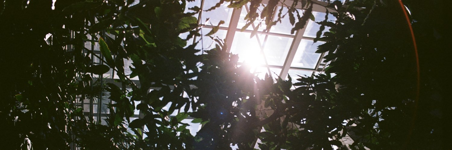 dinahuynh's profile banner image
